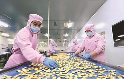 生物技術驅動邱縣食品產業新圖景 創新、升級與可持續發展